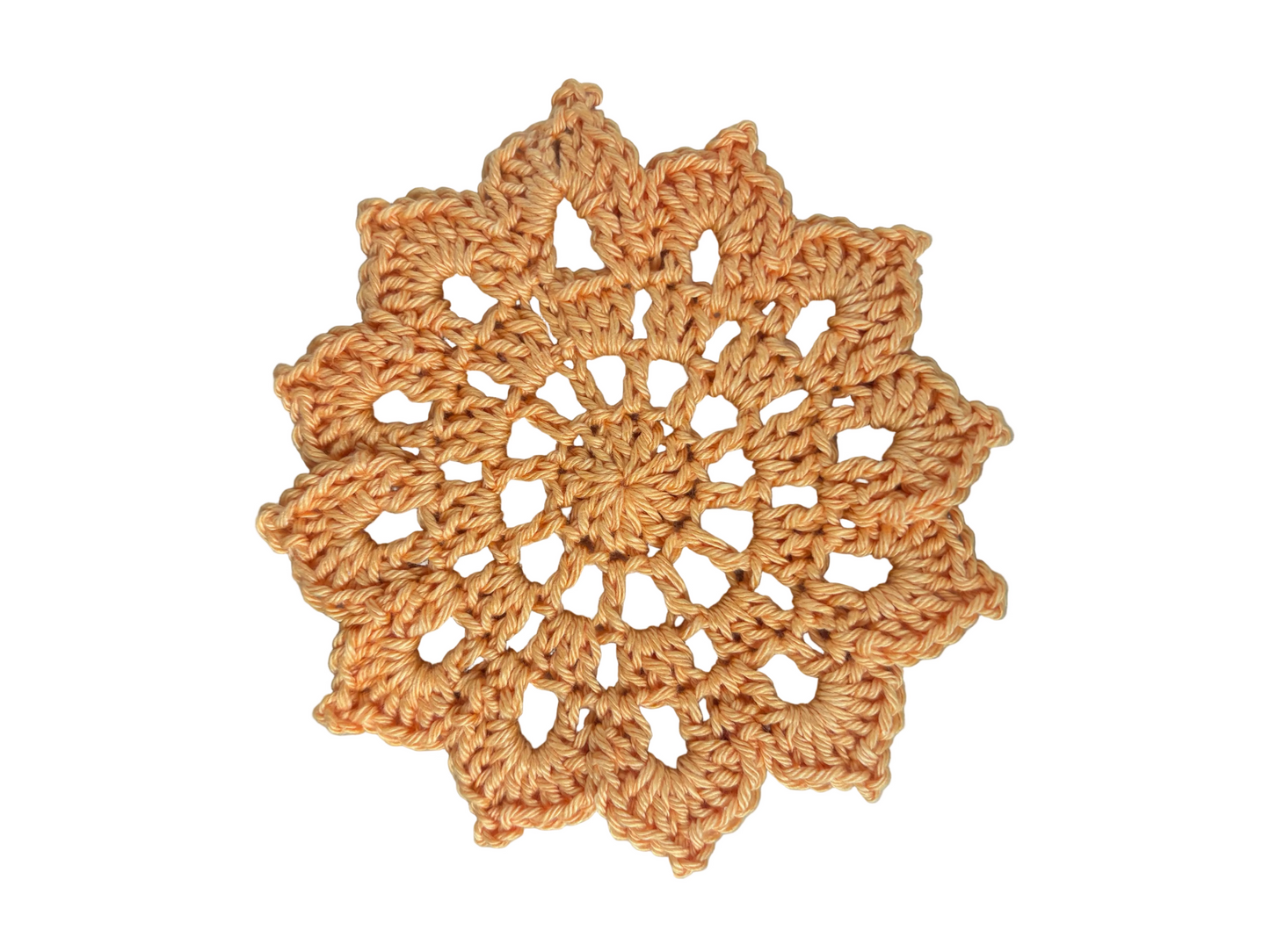 Taller Porta Vasos a Crochet